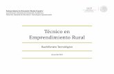 Técnico en Emprendimiento Rural - CBTa 31 · 2020-03-12 · ÍNDICE PRESENTACIÓN 6 1 DESCRIPCIÓN GENERAL DE LA CARRERA 1.1 Estructura Curricular del Bachillerato Tecnológico 1.2