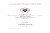 UNIVERSIDAD COMPLUTENSE DE MADRIDeprints.ucm.es/21004/1/T34408.pdfel proyecto de tesis doctoral presentado en el año 2006 para la obtención del Diploma de Estudios Avanzados (DEA)