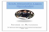 Erick Alejandro Lagos Hernándezgaceta.diputados.gob.mx/PDF/InfoDip/63/290-20171123-II.pdf · 2017-11-24 · Trabajar por Veracruz es el más alto honor que puede tener un representante