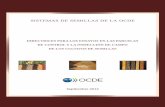 SISTEMAS DE SEMILLAS DE LA OCDE...Los Sistemas de Semillas de la OCDE son un conjunto de procedimientos, medidas y tecnicas que tienen como objetivo asegurar la identidad y pureza