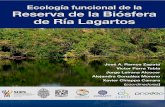 Ecología funcional de la Reserva de la Biósfera de Ría ......Nov 29, 2017  · Ecología funcional de la Reserva de la Biósfera de Ría Lagartos José A. Ramos Zapata Victor Parra