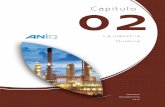 La Industria Química - ANIQ 2.pdf · La industria Química es sin duda uno de los sectores más importantes a nivel nacional, ya que de ella depende la integración en las cadenas