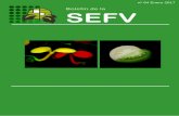 Boletín de la SEFVn-64-Enero-2017.pdfacercará a los principales hitos históricos de la Fisiología Vegetal en nuestro país, desde el establecimiento de esta disciplina como área