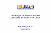 Estrategia de Promoción del Consumo de Huevo en Chile · •Superado el mito del efecto del colesterol del huevo, en 2014 se desarrolló un proceso de planificación estratégica