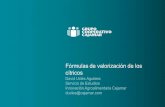 Fórmulas de valorización de los cítricos...Fórmulas de valorización de los cítricos Innovación Agroalimentaria Los 4 jinetes de la globalización La libertad de circulación