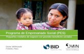 Programa de Empresariado Social (PES)€¦ · Dieter Wittkowski FOMIN, Perú . Fondo Multilateral de Inversiones - FOMIN Es el laboratorio de innovación para el Grupo Banco Interamericano