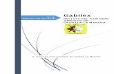 Gabilex - Castilla-La Mancha · 2019-07-01 · recogidos al respecto que podrían resumirse del siguiente modo: 1. Denunciante no es lo mismo que interesado; por el simple hecho de