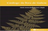 Catálogo da Flora de Galicia - Jolube · ligadas al proyecto de la ‘Flora de Galicia’, de la que es autor el burgalés Baltasar Merino, y las que se producen durante la segunda