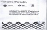 LINEAMIENTOS TIENDAS ESCOLAR1 - XXV Colegio de Bachilleres ... · del Estado de Veracruz designe, en el plazo establecido en la convocatoria, después de esa fecha no se aceptará