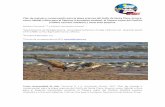 Plan de manejo y conservación para la playa …...Plan de manejo y conservación para la playa arenosa del Golfo de Santa Clara, Sonora, como hábitat crítico para el Pejerrey (Leuresthes