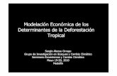 Modelación Económica de los Determinantes de la ......Modelación Económica de los Determinantes de la Deforestación Tropical Sergio Alonso Orrego Grupo de Investigación en Bosques