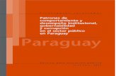 Paraguay - World Banksiteresources.worldbank.org/INTWBIGOVANTCOR/Resources/paragu… · el bienestar económico y social, la seguridad y la identidad colectiva” (p. 12). Cuando