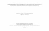 CONSIDERACIONES PARA LA GENERACIÓN E IMPLEMENTACIÓN … · 2011-10-26 · Oscar Fernando Castellanos Domínguez, Ing., Msc., MA, PhD. ... Lineamientos estratégicos a nivel de negocio