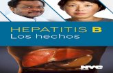 Hepatitis B · y deben hacerse un examen de diagnóstico de cáncer de hígado cada seis meses. Pruebas de hepatitis B y de salud del hígado Su médico puede realizar algunos de