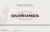 INDUCCIÓN - Grupo Avícola Quiñonesgaq.com.mx/wp-content/uploads/2019/09/INDUCCION-ACTUAL-PLA… · cerdos. 1980 Se construye la primera granja de pollos propiedad del Sr. Quiñones