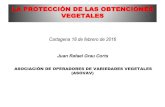LA PROTECCIÓN DE LAS OBTENCIONES VEGETALEScatedrafmc.upct.es/images/actividades/Ijornada/ComunicacionDonJ… · MARCO LEGAL • ESPAÑA: - LEY 3/2000 del régimen jurídico de la
