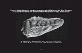 Los yacimientos arqueo-paleontológicos de La Loma y el ...aruz.es/wp-content/uploads/2014/07/intro-MP8.pdf · lo más limpia posible. En total se movilizaron más de 30 toneladas