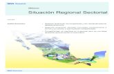 Situación Regional Sectorial€¦ · En nuestro escenario base habrá una consolidación de la recuperación en todas las regiones hacia el 2011, las más competitivas mantendrán