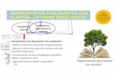 EXPERIMENTOS FASCINANTES CON Libro PLANTAS: UN LIBRO ...servicios.unileon.es/formacion-pdi/files/2019/02/7_Libro_web_TFGs-c… · “Experimentos fascinantes con plantas” Competencias