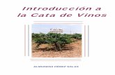 Introducción a la Cata de Vinospepequiralte.com/mediapool/136/1368670/data/PDF/Manual_del_vin… · Ester del ácido acético y el alcohol etílico, componente natural de los vinos