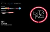 NITS DE JAZZnitsdejazz.com/es/historia/NitsJazz2015.pdf · La nova veu del jazz mediterrani Inquiet i ambiciós, Anthus esdevé una de les millors veus masculines del jazz del moment.