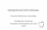 Denervación renal - Sociedad Española de Cardiología · • Exclusión –FG < 45 mL/min/1,73 m2 –A. renal estenótica, < 4 mm diámetro o < 20 mm longitud Symplicity HTN-2 Investigators.