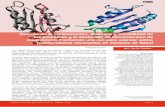 Estudio de la conformación, dinámica y estabilidad de las ... · Estudio de la conformación, dinámica y estabilidad de las proteínas y el desarrollo de herramientas de diagnóstico.