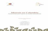 Minería en Colombia€¦ · La amenaza sobre la calidad de las aguas 103 Contaminación química por voladuras 105 Implicaciones de la contaminación 106 El concepto de sostenibilidad