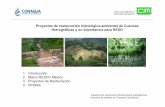 1. Introducción 2. Marco REDD+ México 3. Proyectos de ... · areas protegidas, incrementar las areas con un manejo forestal sustentable (SFM), ... Ríos La Sierra, Teapa, Pichucalco