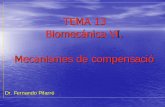 TEMA 13 Biomecánica VI. Mecanismes de compensaciódoctorfernandopifarre.com/apuntes/Tema13.pdf · bóveda transversal. 3 “Cñ” “A”- “E”- dispersa abánico 2 “Cñ”