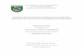 DISEÑO DEL PROCESO DE GESTIÓN HOMOLOGADA DE LOS …biblioteca2.ucab.edu.ve/anexos/biblioteca/marc/texto/AAU1984_1.pdf · de la organización, con el fin de emplear la información