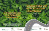 El Desarrollo vial en la Amazonia Colombiana El Desarrollo ... · El Desarrollo vial en la Amazonia Colombiana Coalición para la promoción de los Derechos Territoriales de pueblos