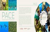  · Conservación y Manejo de la Biodiversidad Participación Social yCultura para la Conservación Economía para la Conservación Cambio Climático Durante la elaboración de los