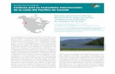 Resumen de investigación Carbono azul en humedales ... · Canadá en latitudes similares, un sondeo sobre datos dispo - nibles a escala mundial en relación con la acumulación de