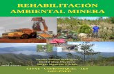 RREEHHAABBIILLIITTAACCIIÓÓNN AAMMBBIIEENNTTAALL …repositorio.geotech.cu/jspui/bitstream/1234/1037/16/0 TEXTO... · rehabilitación ecológica efectiva de las áreas devastadas