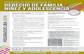 PROGRAMA DE ACTUALIZACIÓN EN DERECHO DE FAMILIA, …. Dere Familia 18.pdf · el campo del Derecho de Familia e instituciones afines. • Dotar a los abogados de las herramientas