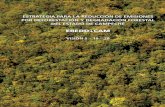 EREDD+CAM - ccpy.gob.mx/EstrategiaREDDCam… · los ecosistemas forestales. Esto como parte de la solución a los efec-tos del cambio climático al reducir la pérdida de selvas en