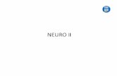 Neuro II - Clases Particulares 092686953 · Áreas de Brodmann . Comisuras interhemisféricas . Cuerpo calloso . Fórnix y septum pellucidum . Comisuras anterior y posterior . Corteza