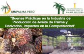”Buenas Prácticas en la Industria deolpasa.pe/wp-content/uploads/2018/09/buenaspracticas.pdf · consorcio SOL DE PALMA conformado por 5 empresas productoras de aceite de palma.