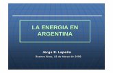 LA ENERGIA EN ARGENTINA - Instituto Argentino de la ... · Argentina se encuentra en un proceso caracterizado por un fuerte crecimiento económico después de la crisis del año 2001
