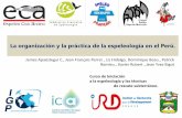 La organización y la práctica de la espeleología en el Perú.€¦ · La organización y la práctica de la espeleología en el Perú. Curso de Iniciación a la espeleología y