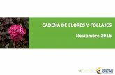 CADENA DE FLORES Y FOLLAJES Noviembre 2016 · 2019-06-05 · crisantemo que presentan incrementos del 15% y 6% de su precio en el período 2015-2016, respectivamente. Es de resaltar