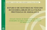 Estudio de sustancias Bioacumulables en fauna protegida · Ejemplos: La exposición subletal a determinados metales pesados durante el desarrollo es capaz de alterar hormonas esteroideas