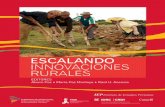 ESCALANDO INNOVACIONES RURALES · 2015-08-03 · de su adaptación y difusión en las zonas rurales de América Latina. Es necesario enten - der de qué manera se producen las innovaciones,