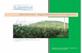 Boletín Agrometeorológico Decádico - MARN | … 24 agosto … · Web viewRequerimientos de agua en un cultivo de maíz 10-1 1 Evaluación de la humedad en la 3ª década de agosto