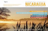 NICARAGUA - Igminvestments · 2016-09-13 · 2009 los flujos de inversión directa extranjera se concentraron en tres sectores principalmente: energía 51%, telecomunicaciones 14%