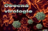 atraktivnibiologie.upol.czatraktivnibiologie.upol.cz/docs/pdf/OBECNA VIROLOGIE.pdfRabdovirus Bakteriofág T4 (virus vztekliny) Polyomavirus Picornavirus (rýma) urn ( = 1000 nm) (m)