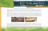 MOSCAS DE LA CEBOLLA - Cajamar Caja Rural · 2020-01-07 · MOSCAS DE LA CEBOLLA Distintas especies de larvas de moscas pueden llegar a ser plaga en el cultivo de la cebolla. Una