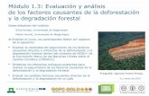 Módulo 1.3: Evaluación y análisis de los factores ... · Módulo 1.3: Evaluación y análisis de los factores causantes de la deforestación y la degradación forestal Materiales