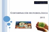 Contaminación microbiológica · 2016-05-09 · (COLONIZACIÓN DEL SISTEMA) |Maduración del biofilm, creación de ambientes heterogéneos, compuestos de 10-15% de células y de